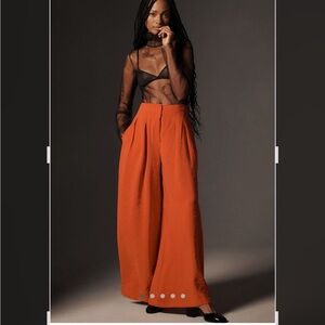 By anthropologie high waisted, pleaded wide leg trousers-sz 10. In BLACK.